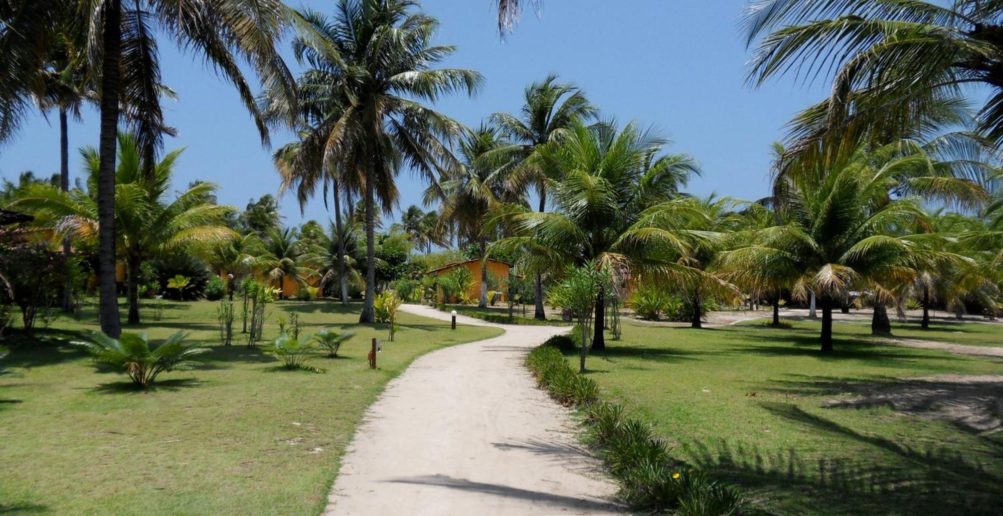 Pousada Cote Sud São Miguel dos Milagres 外观 照片